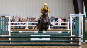 Kristin VanMeter, Hardesty, Real Rider Cup, New Vocations at Mereworth Farm, horse racing, America's Best Racing, ABR